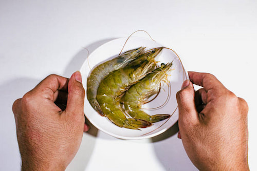 خرید میگو سرتیز